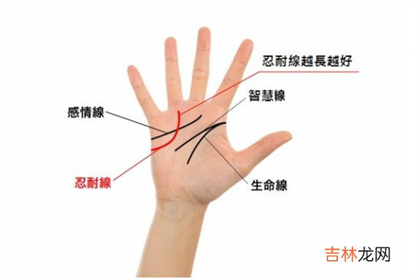 2019年手相看运势 盘点强势三手相
