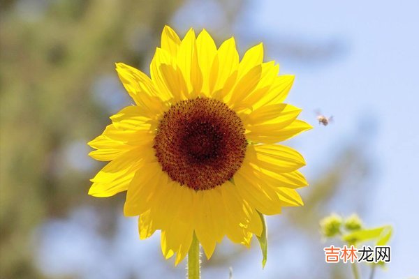 忧郁症什么征兆 10个日常习惯自测一下