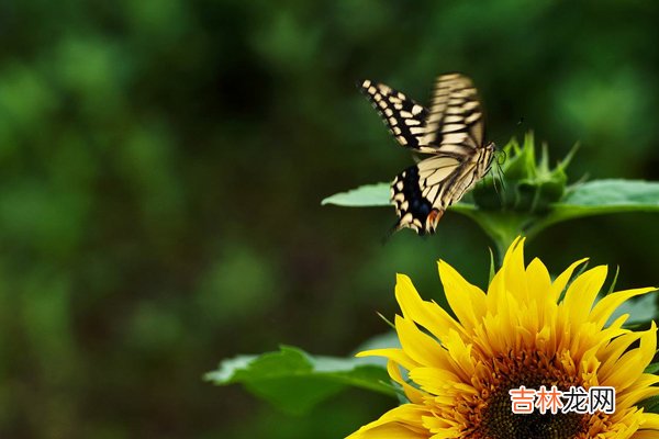 忧郁症什么征兆 10个日常习惯自测一下