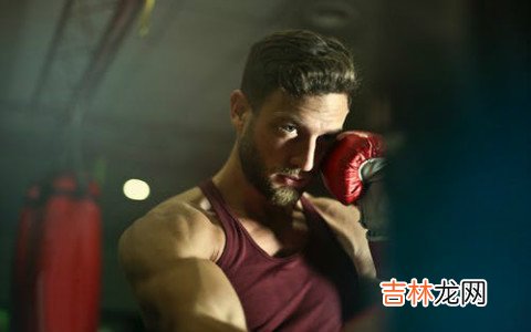 十二星座战斗力排名