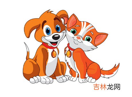 2020属狗人的全年运势