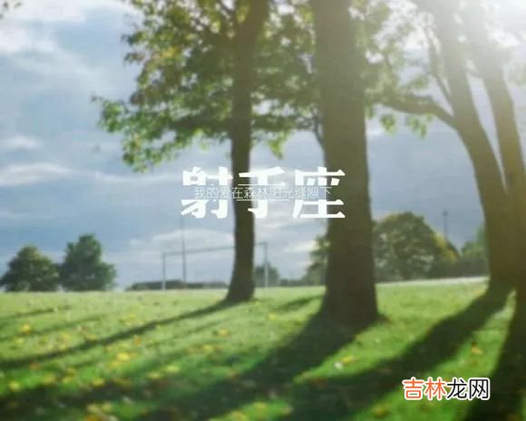 把射手女当宝的星座