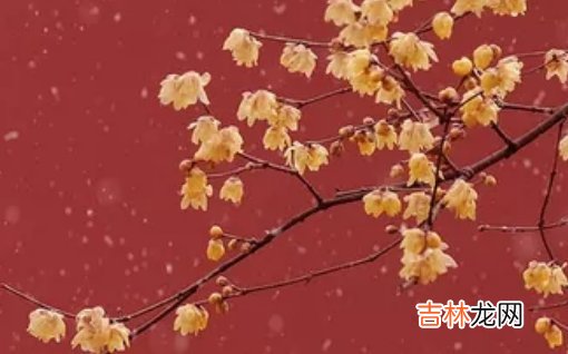 2020年6月29号五月初九生的男孩命运好吗，取什么名字合适