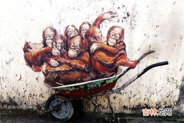 属猴的2020年运势如何