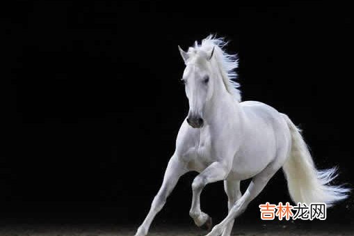 今年属马的财运和运气如何 运势依旧平稳运营财
