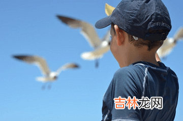 ?2019猪宝宝男孩名字