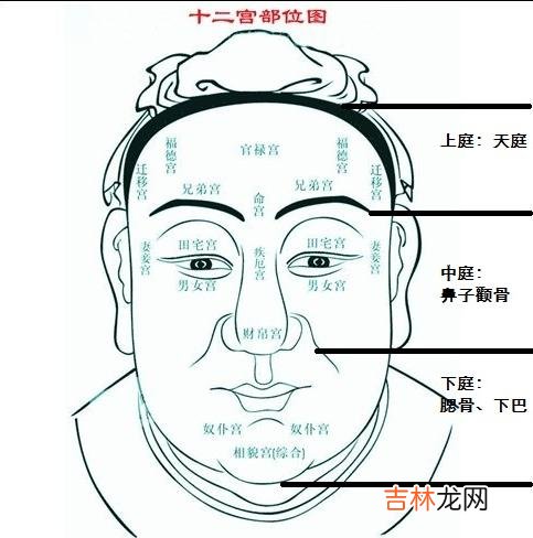 新浪星座算命网_什么叫天庭饱满地阁方圆？