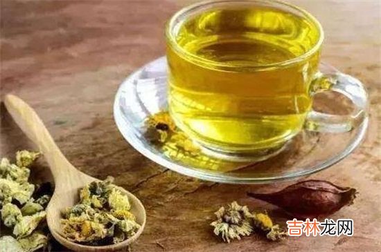 菊花怎么泡才不寒