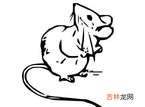 免费八字算命婚姻_属鼠的和什么属相最配