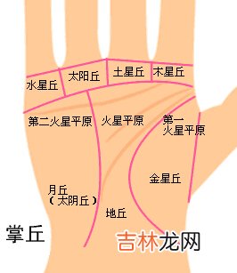 报生辰八字算命准吧_手相八大丘怎么看