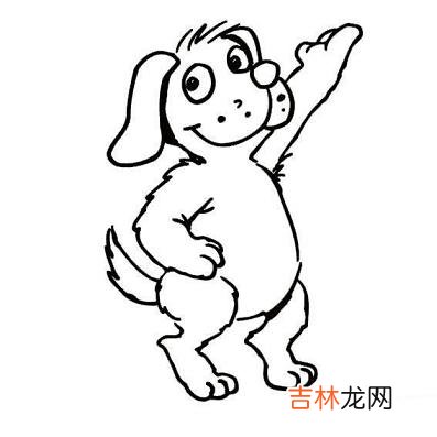 算命的软件_属狗的和什么属相最相配
