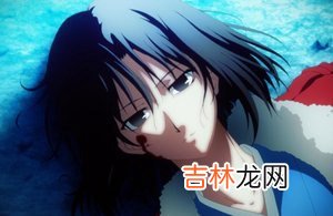 两仪式是什么梗