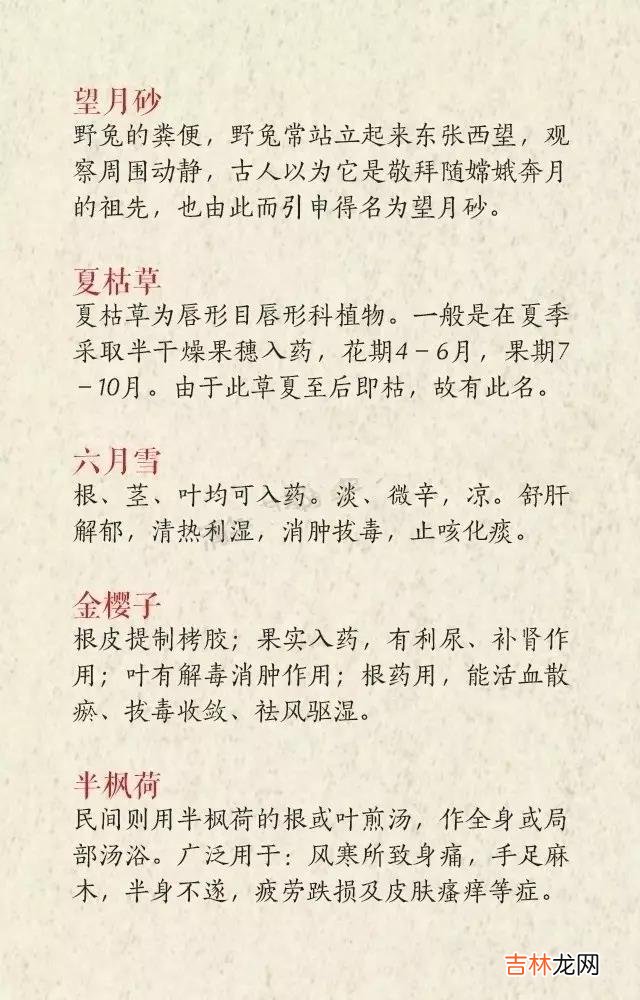 中药的名字丝毫不输诗经，楚辞