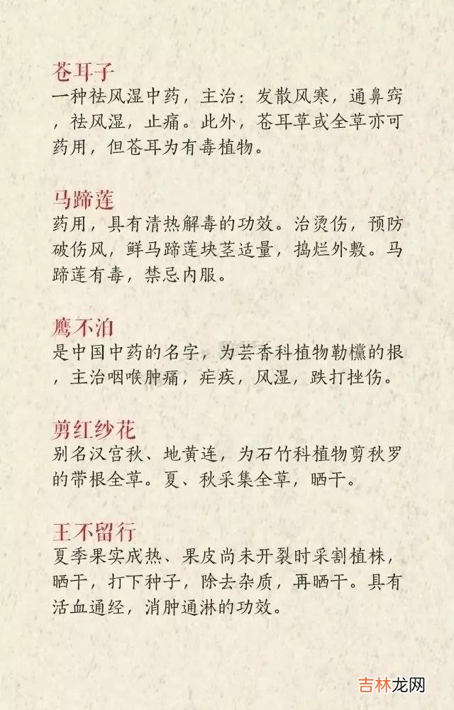 中药的名字丝毫不输诗经，楚辞