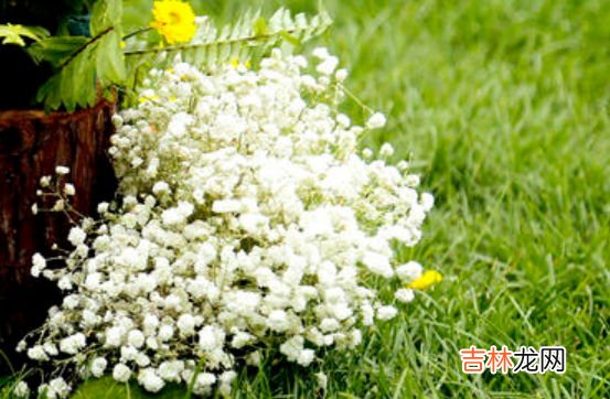 带解释 最新的姓郭的男孩名字好听有寓意