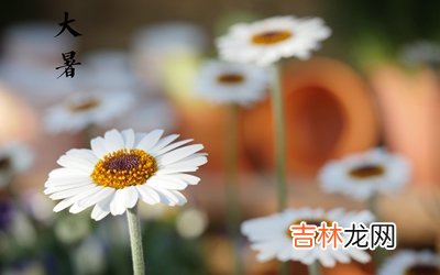 2020鼠年大暑节气出生缺木男孩取什么名字好？