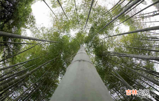 安吉十大旅游景点排行榜 安吉必玩景点推荐