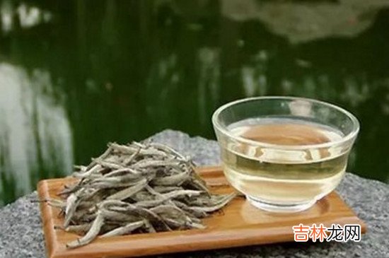 白茶能存放多少年