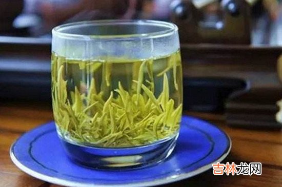 白茶能存放多少年