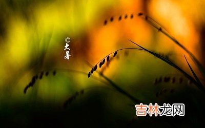 2020庚子鼠年六月初二大暑节气出生的男孩缺土取名