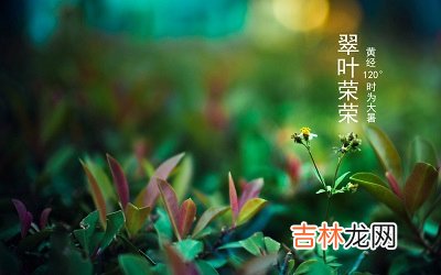 2020庚子鼠年六月初二大暑节气出生的男孩缺土取名