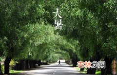 2020庚子鼠年7月22日大暑出生的男孩缺金起名字