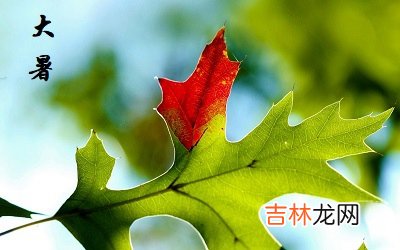 2020庚子鼠年7月22日大暑出生的男孩缺金起名字