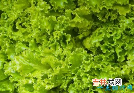 十大抗衰老食物 美容养颜良品