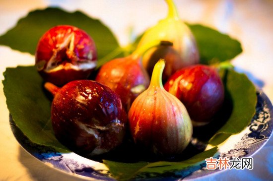 吃无花果的禁忌