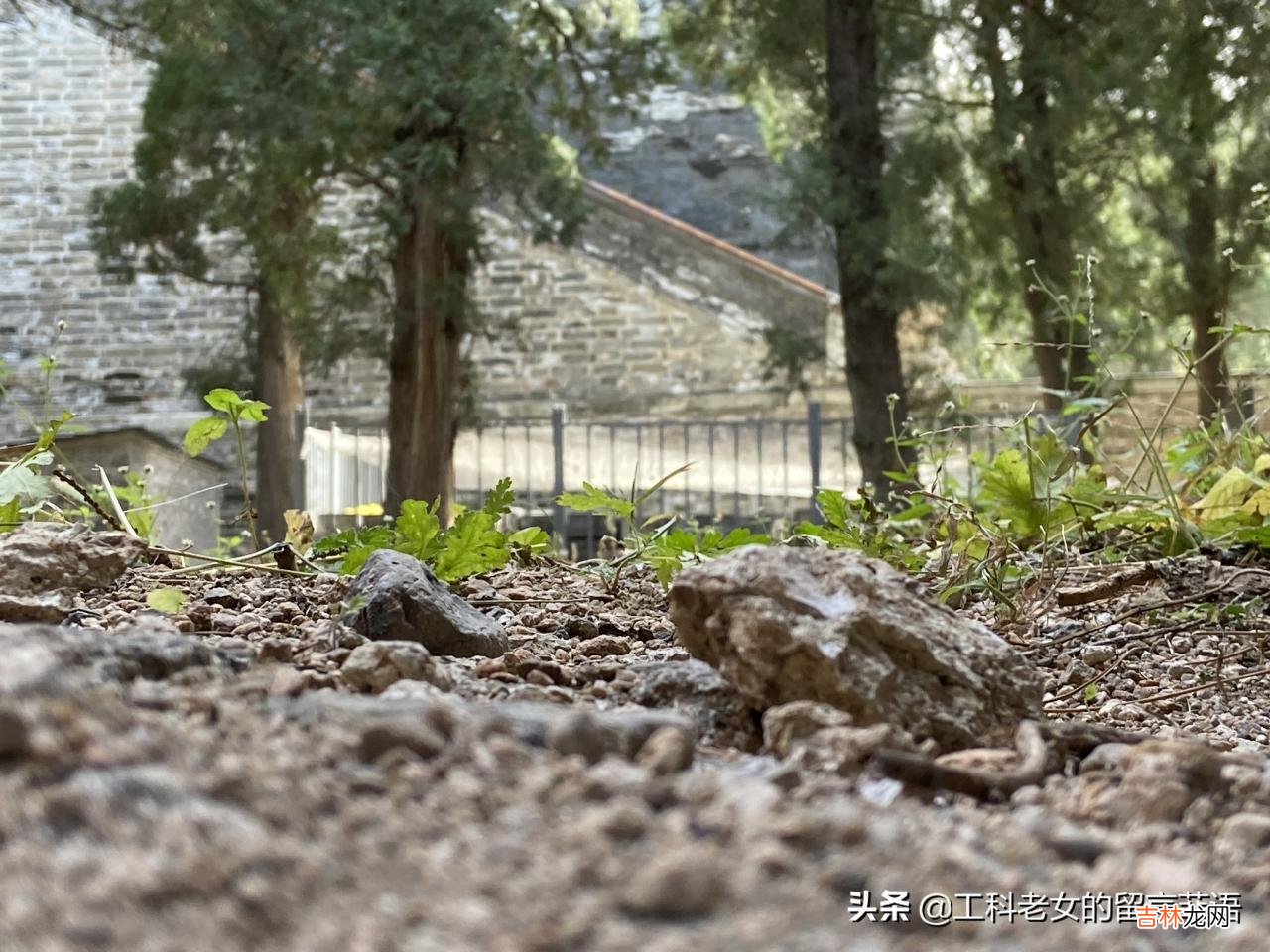 十三陵陵园介绍图片 十三陵陵园