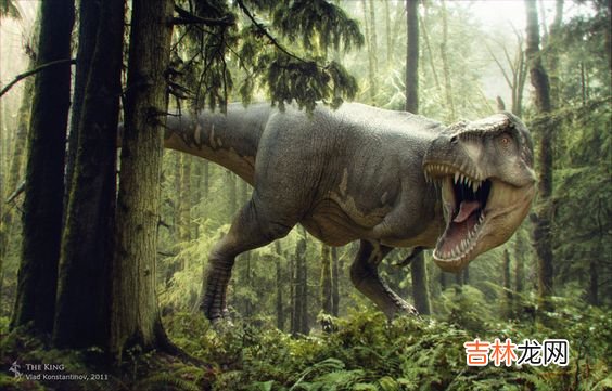 霸王龙压制组 霸王龙外形特点简介