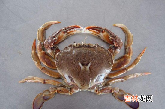 活螃蟹怎么保存在冰箱