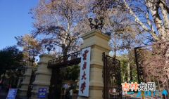 2018云南大学排名 云南有哪些大学