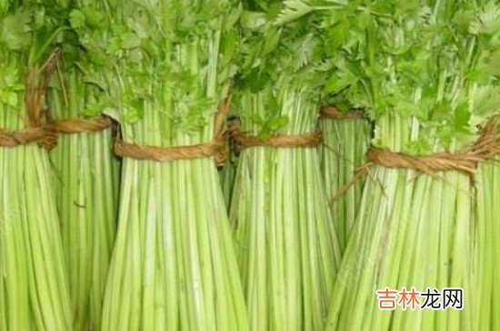 芹菜怎样长时间储存