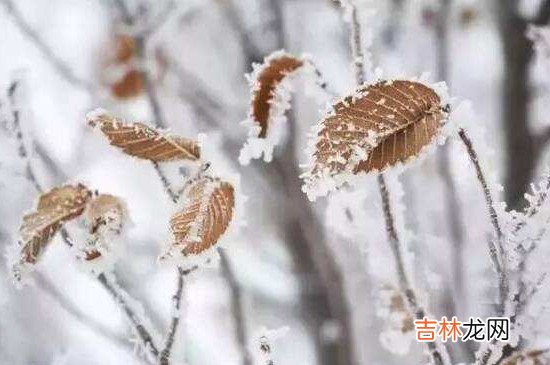 小雪是农历几月几日