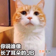 xjb是什么梗