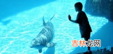 世界最大的水族馆排行前十名上海海洋水族馆排倒三