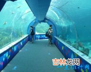 世界最大的水族馆排行前十名上海海洋水族馆排倒三