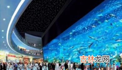 世界最大的水族馆排行前十名上海海洋水族馆排倒三