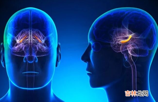 微笑的十大好处 原来多笑笑有这么多好处!