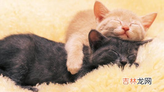 这个是越深交越喜欢的狮子座