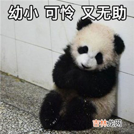 瑟瑟发抖是什么梗