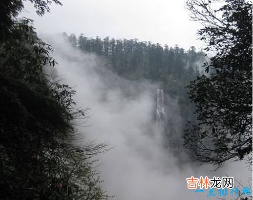 世界十大危险的地方 巴西库巴唐——无脑婴儿产地