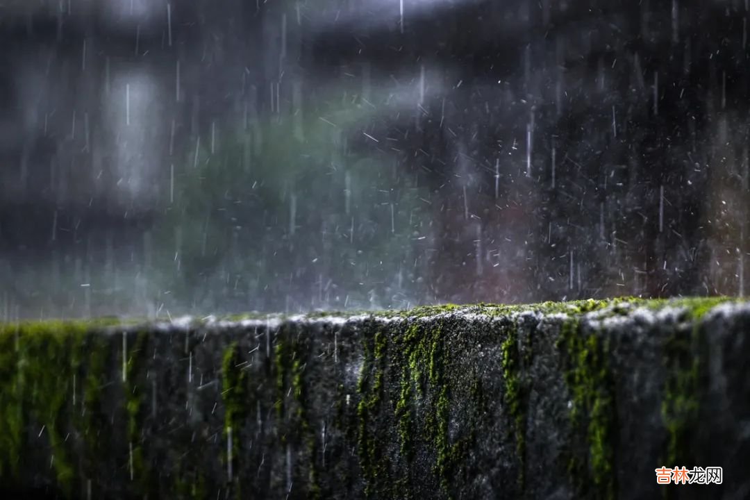 盲山百度网盘云 盲山电影高清在线观看