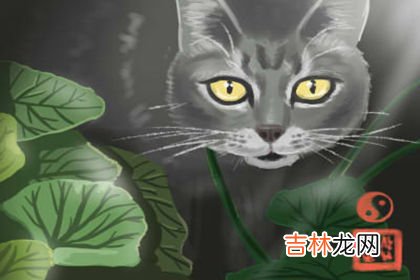 看掌纹算命_土命和金命谁旺谁 金命必有土