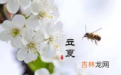 2020年5月5日立夏出生的鼠宝宝五行缺什么 叫什么名字比较好