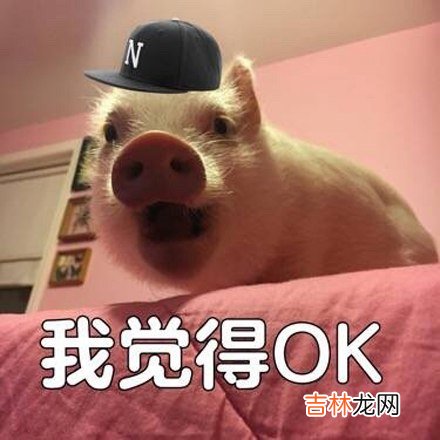 ojbk是什么梗