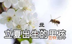 2020年5月5日立夏出生的男孩乳名小名 带夏字的男孩名字