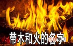 宝宝起名带木和火怎么起比较合适