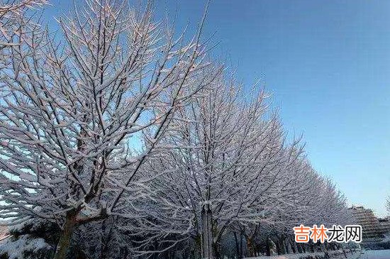 小雪节气的天气特点